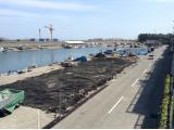 姫川漁港